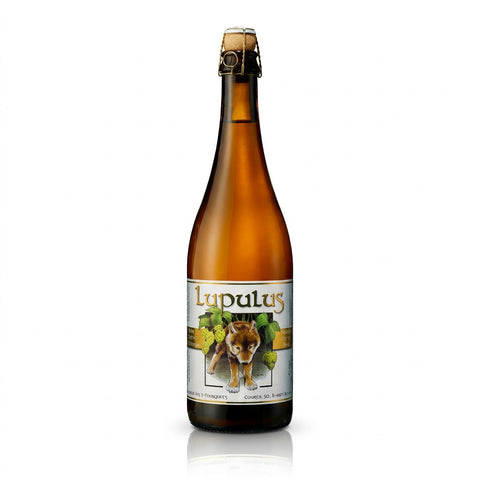 Professionele foto van Lupulus Tripel 75cl - Rudy ampe