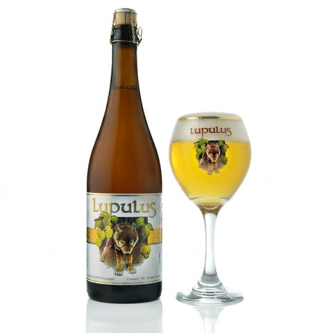 Professionele foto van Lupulus Tripel Magnum 1.5L - Rudy ampe