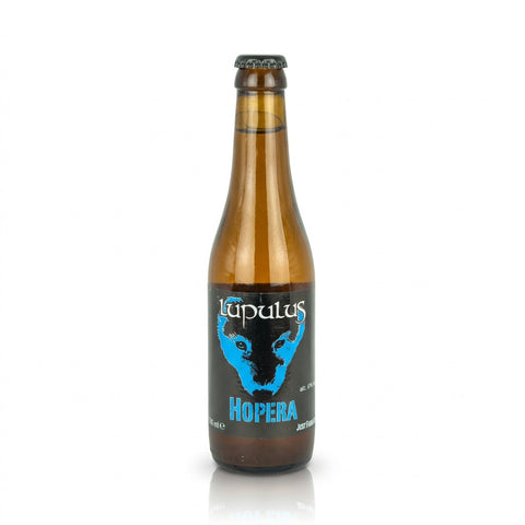 Professionele foto van Lupulus Hopera - Rudy ampe